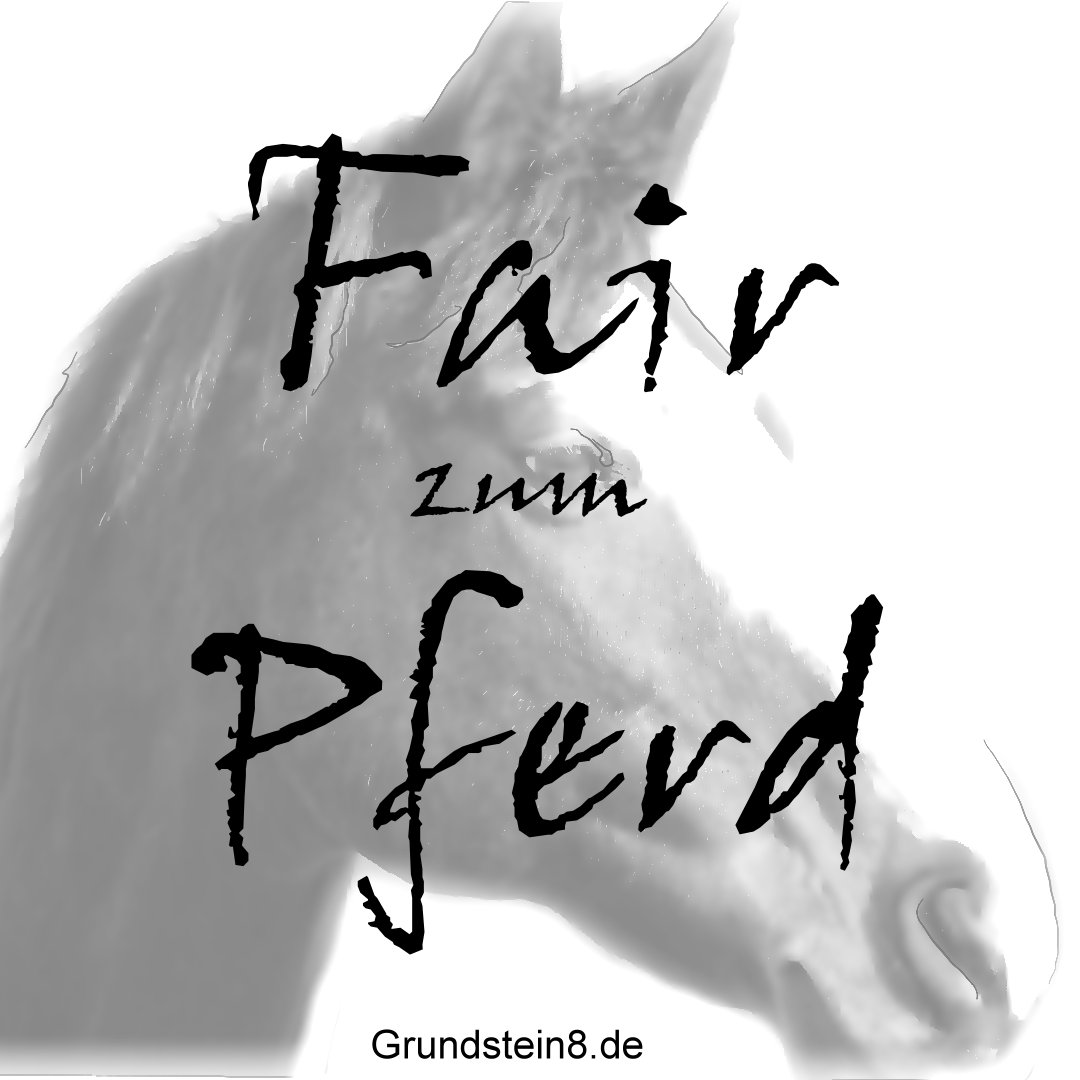 Fair zum Pferd